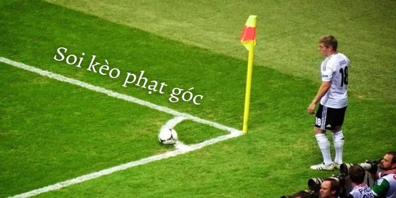 Keo rung phat goc Keo rung phat goc