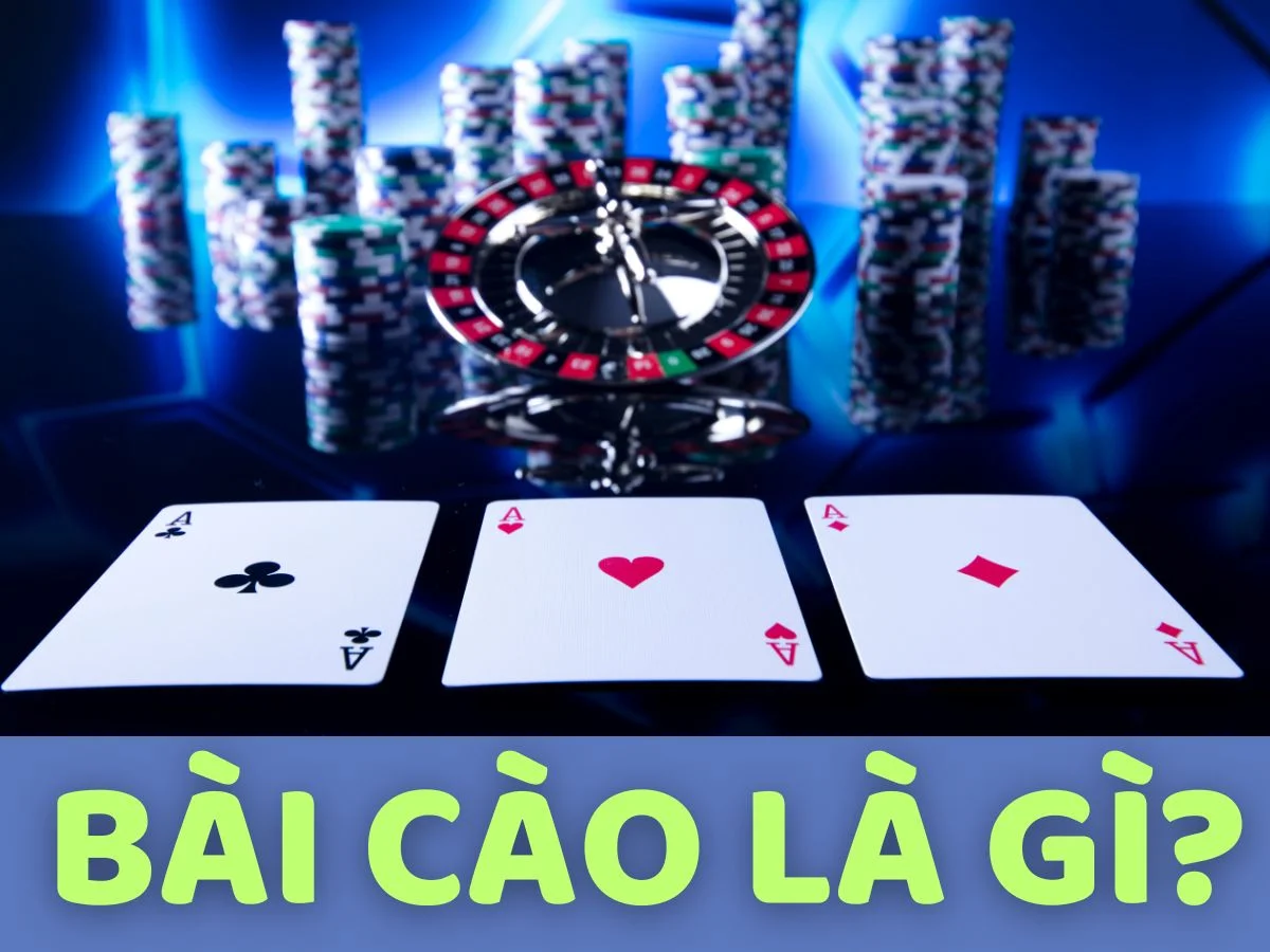 bai cao la gi