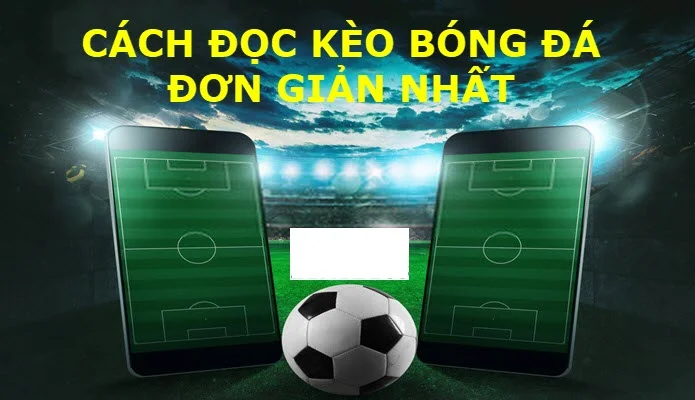 kinh nghiem dat keo rung kinh nghiem dat keo rung